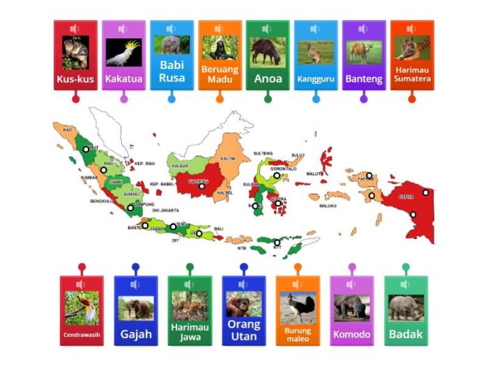 Inilah Peta Persebaran Fauna Di Indonesia Beserta Penjelasannya