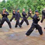 Ringkasan Materi Jurus PSHT sesuai Tingkatan Sabuk
