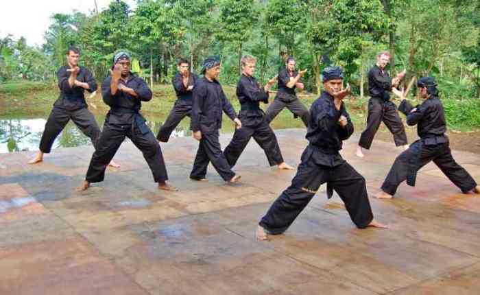 Ringkasan Materi Jurus PSHT sesuai Tingkatan Sabuk